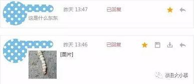 石家庄水果最新爆料微博,品种丰富，价格亲民，快来尝鲜！  第3张