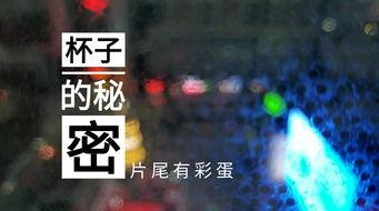 苏州酒店爆料视频最新版,揭秘奢华背后的惊人真相 第2张 苏州酒店爆料视频最新版,揭秘奢华背后的惊人真相 第2张